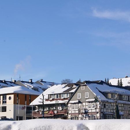 Gaestehaus Dorf-Alm Willingen  Ngoại thất bức ảnh